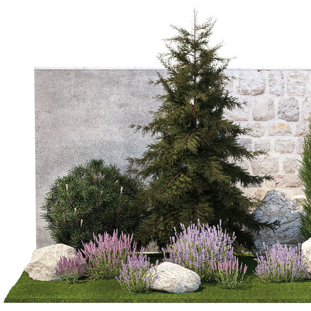 Lavender Cypress Spruce Juniper 3D Model – Decorative Landscape Asset, FBX - View 10