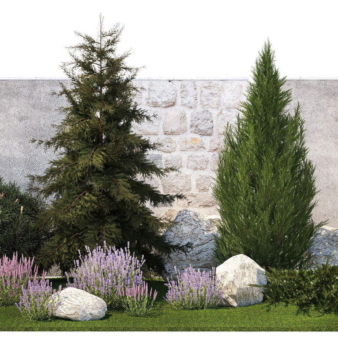 Lavender Cypress Spruce Juniper 3D Model – Decorative Landscape Asset, FBX - View 11
