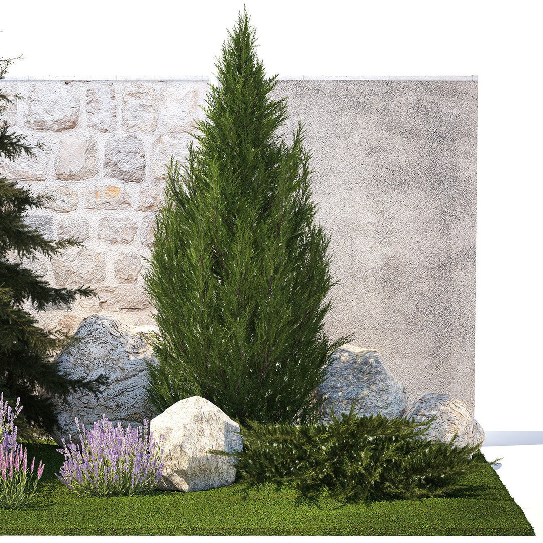 Lavender Cypress Spruce Juniper 3D Model – Decorative Landscape Asset, FBX - View 12