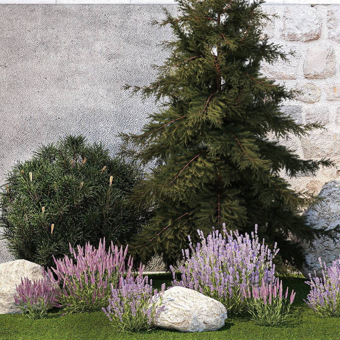 Lavender Cypress Spruce Juniper 3D Model – Decorative Landscape Asset, FBX - View 13