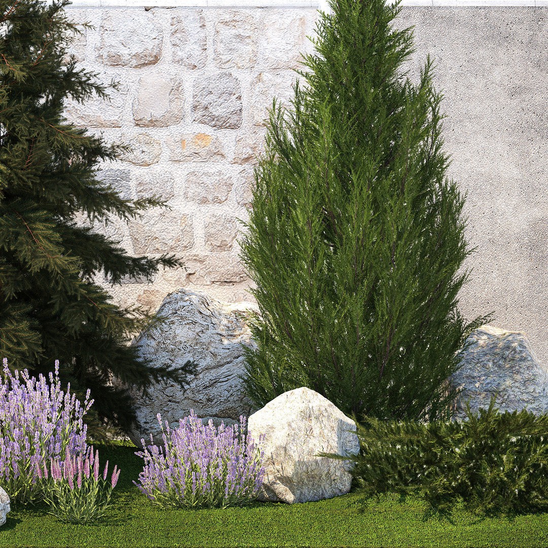 Lavender Cypress Spruce Juniper 3D Model – Decorative Landscape Asset, FBX - View 14