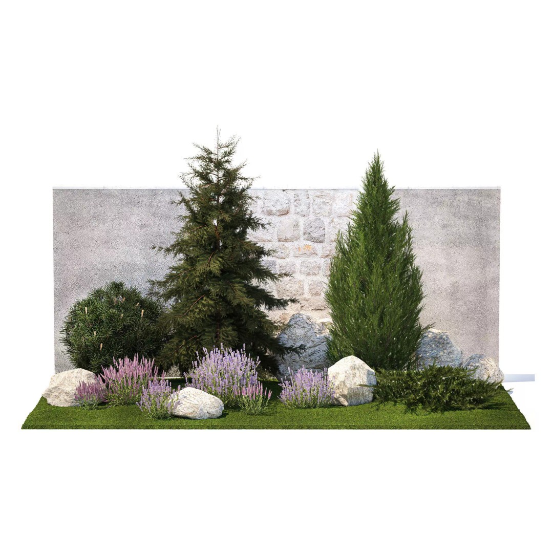 Lavender Cypress Spruce Juniper 3D Model – Decorative Landscape Asset, FBX - View 2