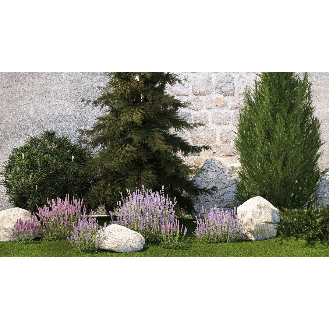 Lavender Cypress Spruce Juniper 3D Model – Decorative Landscape Asset, FBX - View 4