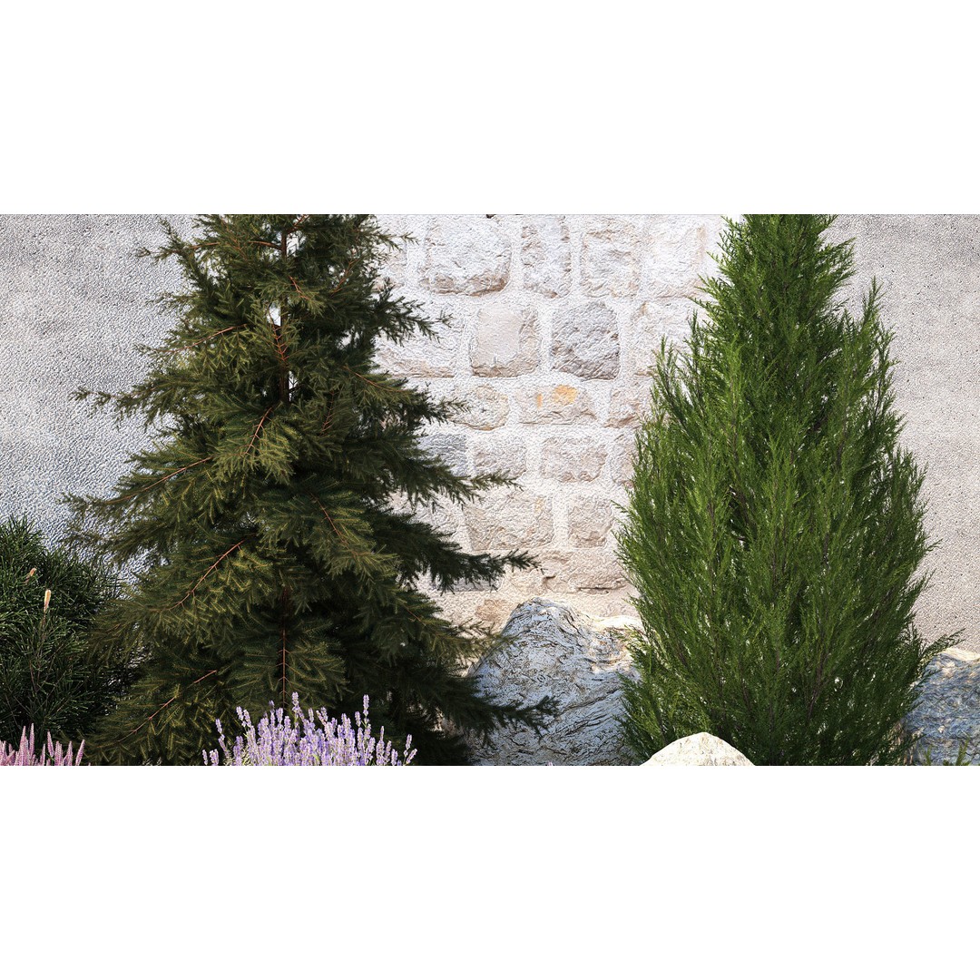 Lavender Cypress Spruce Juniper 3D Model – Decorative Landscape Asset, FBX - View 5