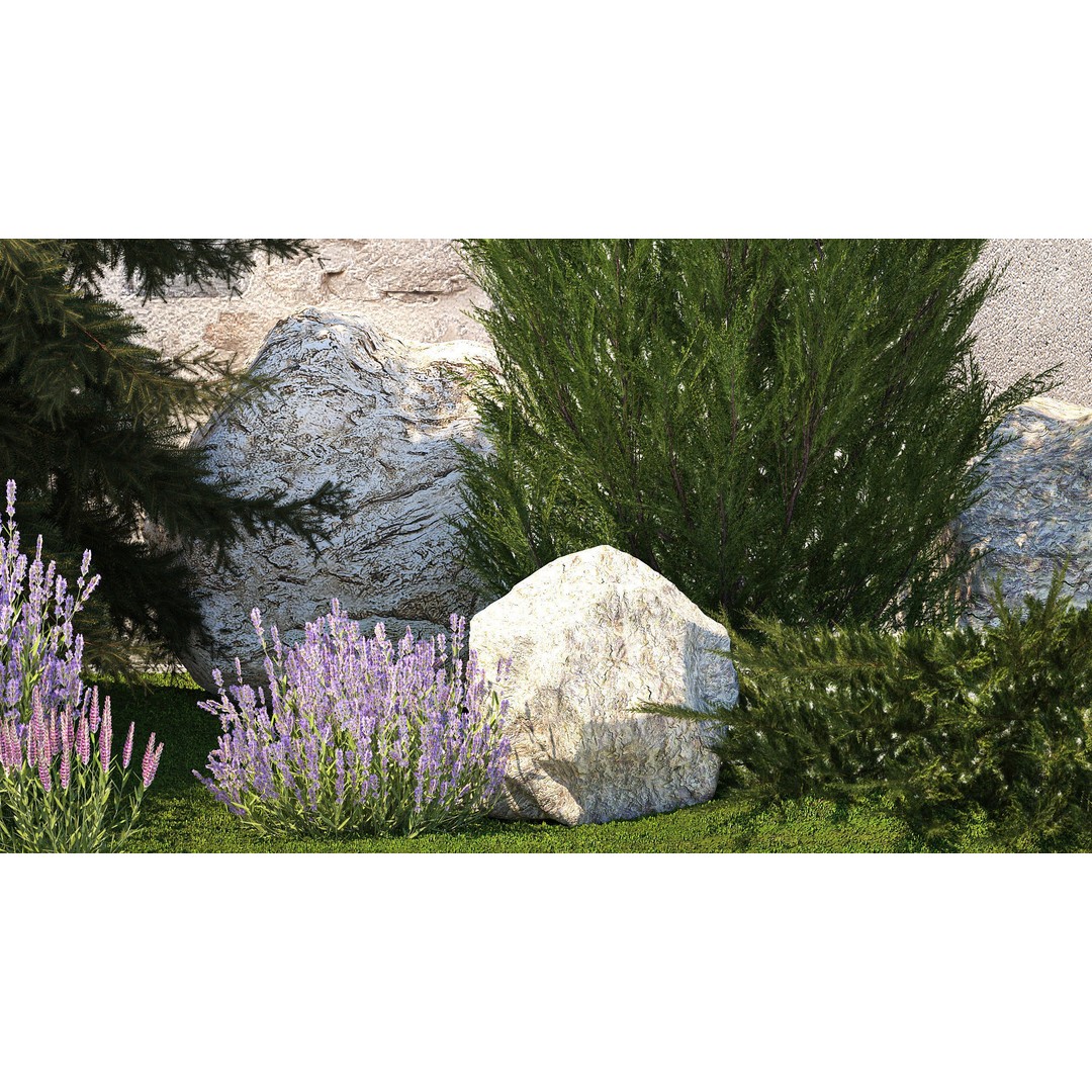 Lavender Cypress Spruce Juniper 3D Model – Decorative Landscape Asset, FBX - View 6