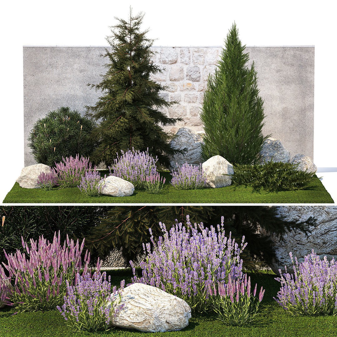 Lavender Cypress Spruce Juniper 3D Model – Decorative Landscape Asset, FBX - View 8
