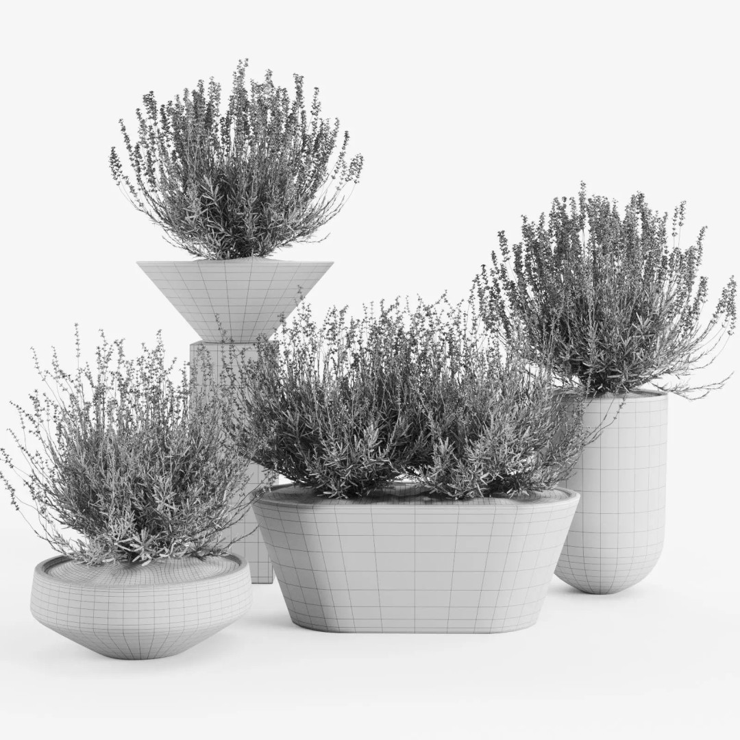Lavender 3D Model – Modern Concrete Planters, PBR Textures, FBX, OBJ - View 3