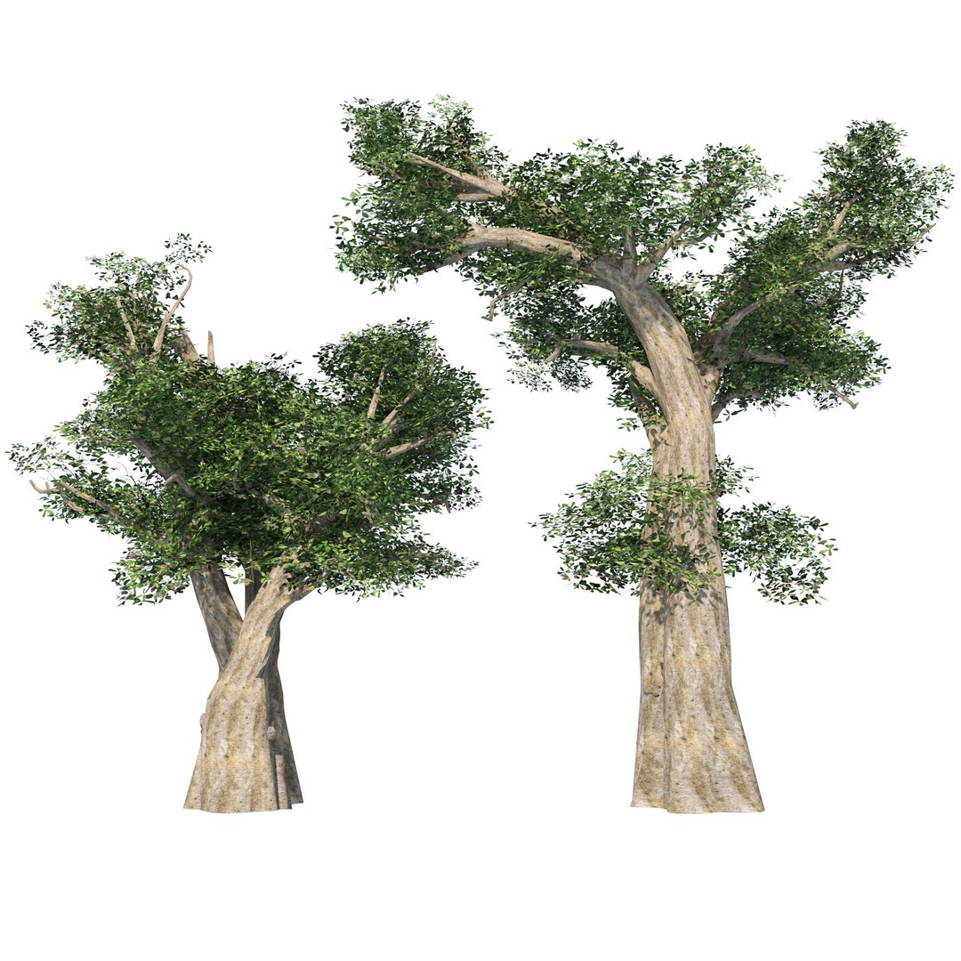 Desert Plants 3D Model – Low Poly Rigged Collection, FBX, Blender - View 15