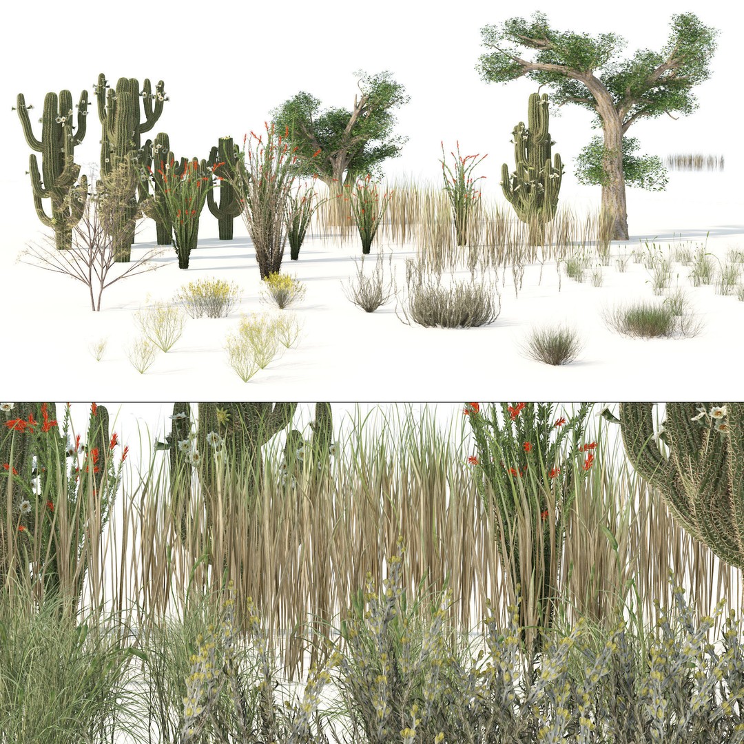 Desert Plants 3D Model – Low Poly Rigged Collection, FBX, Blender - View 19