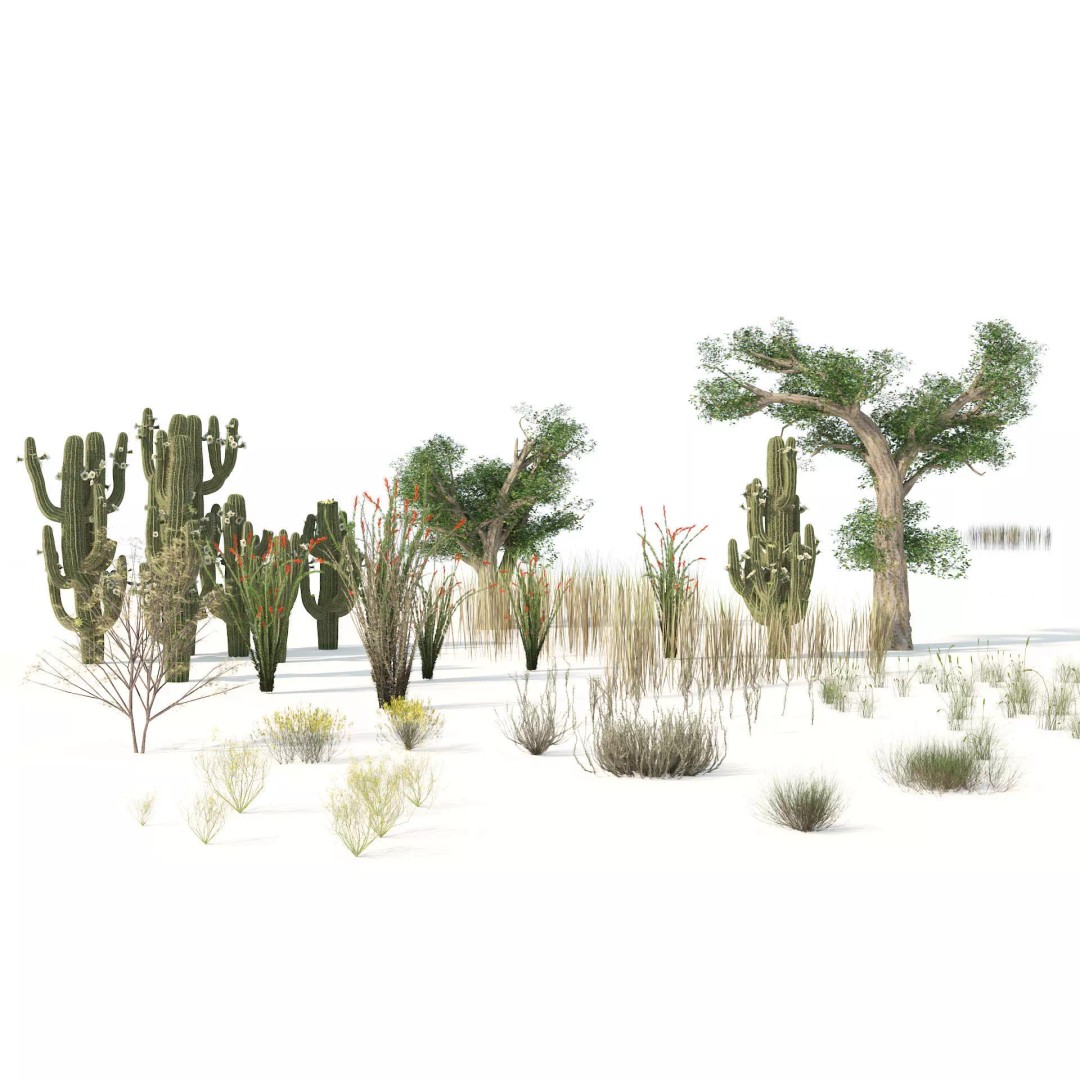 Desert Plants 3D Model – Low Poly Rigged Collection, FBX, Blender - View 2