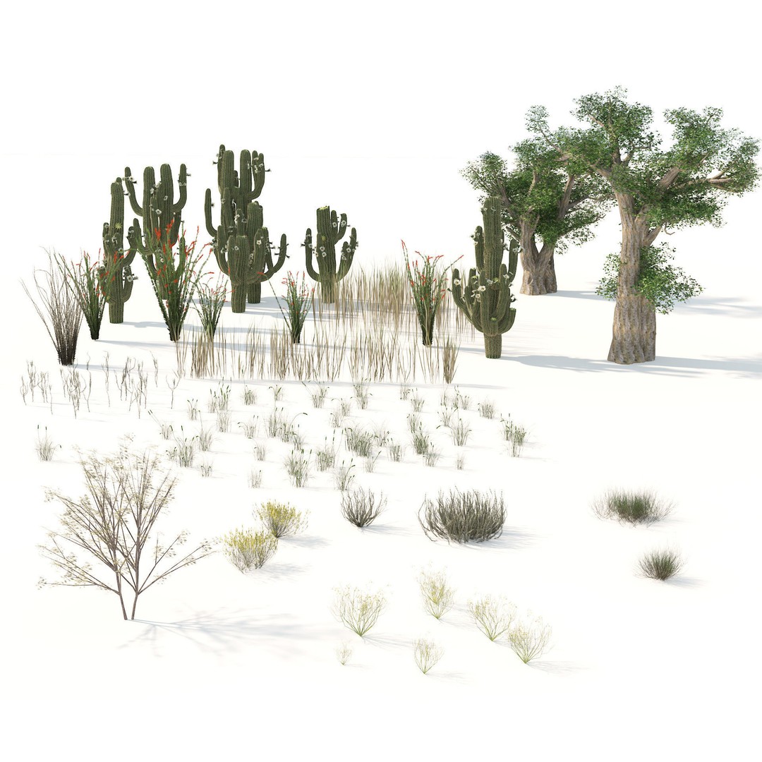 Desert Plants 3D Model – Low Poly Rigged Collection, FBX, Blender - View 3
