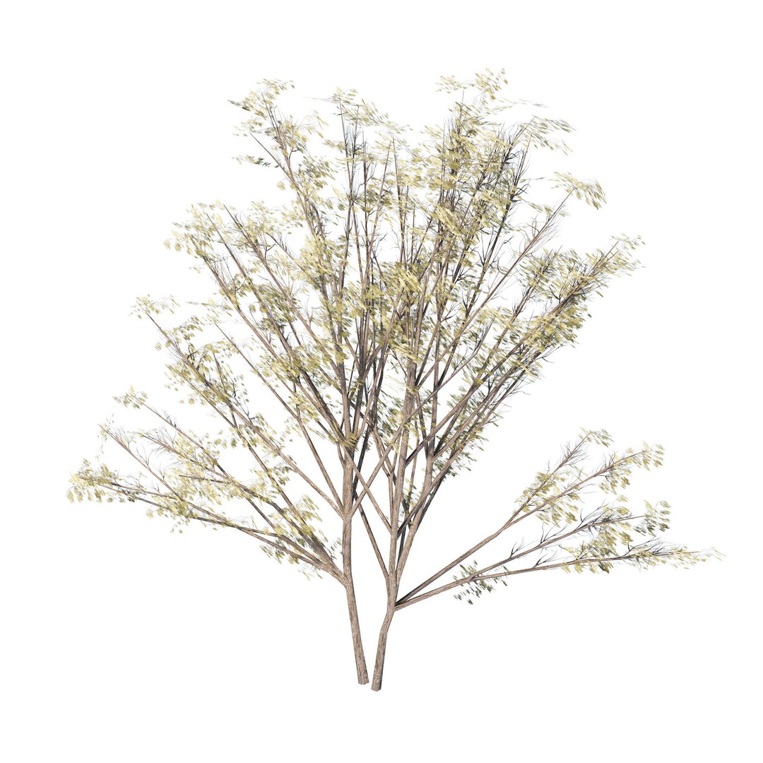 Desert Plants 3D Model – Low Poly Rigged Collection, FBX, Blender - View 6