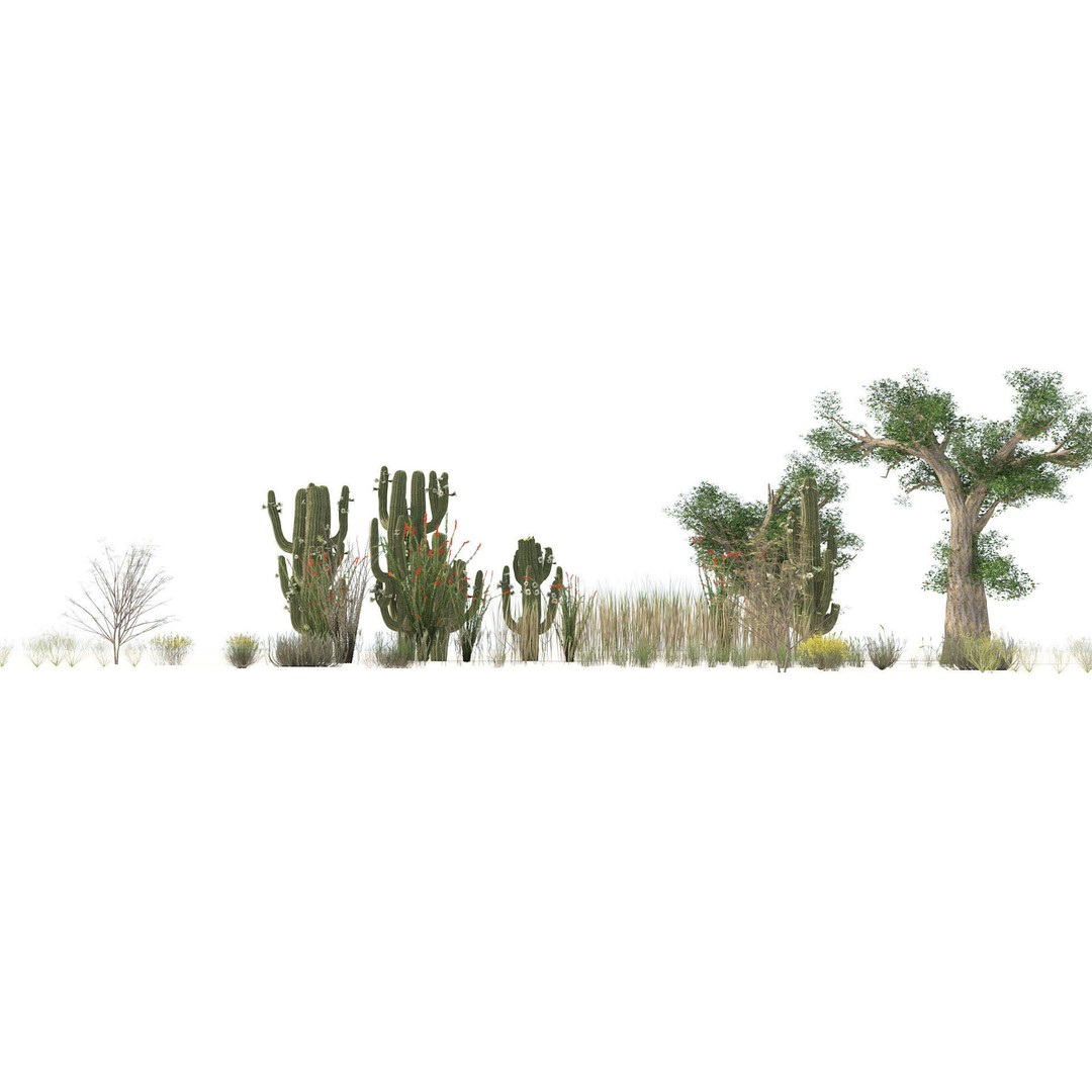 Desert Plants 3D Model – Low Poly Rigged Collection, FBX, Blender - View 7