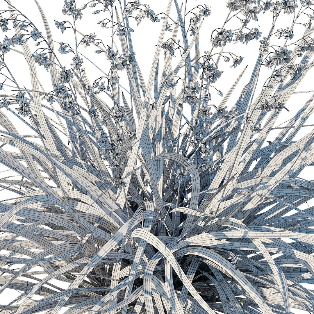 Dianella Caerulea 3D Model – High Poly PBR Plant Asset, FBX - View 5