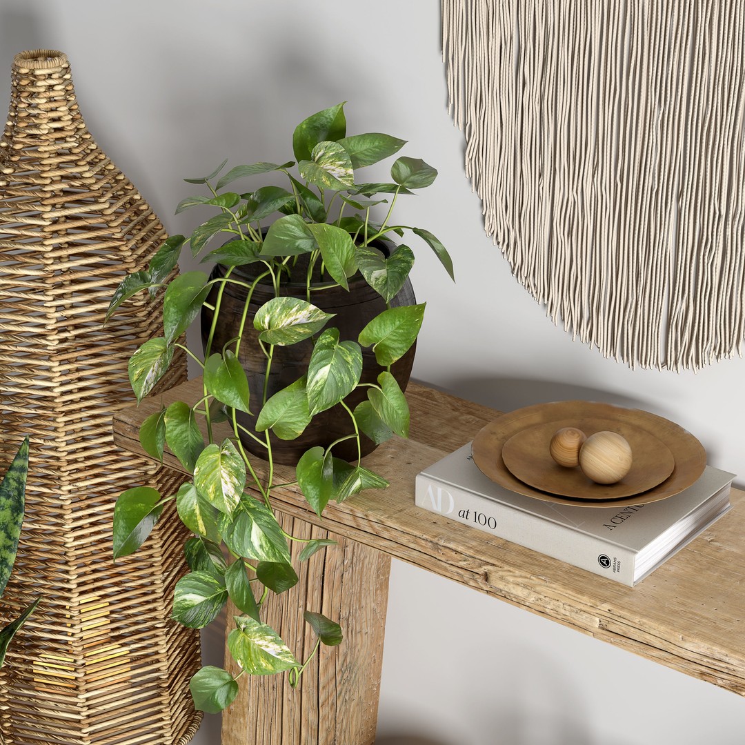 Wooden Table 3D Model – Boho Decor Set with Plants and Wicker - View 4