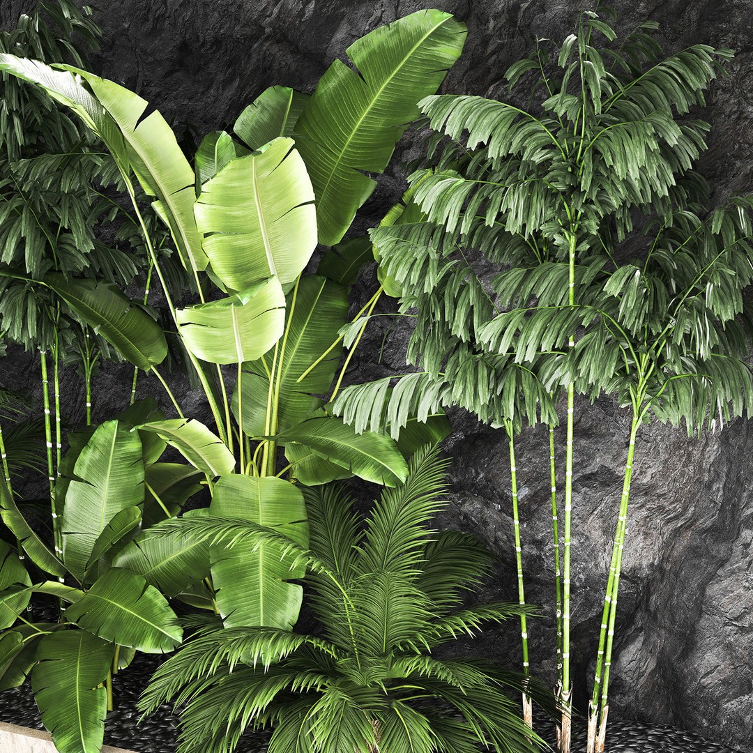 Tropical Home Garden 3D Model – Stylish Landscape with Rock Wall, FBX - View 11
