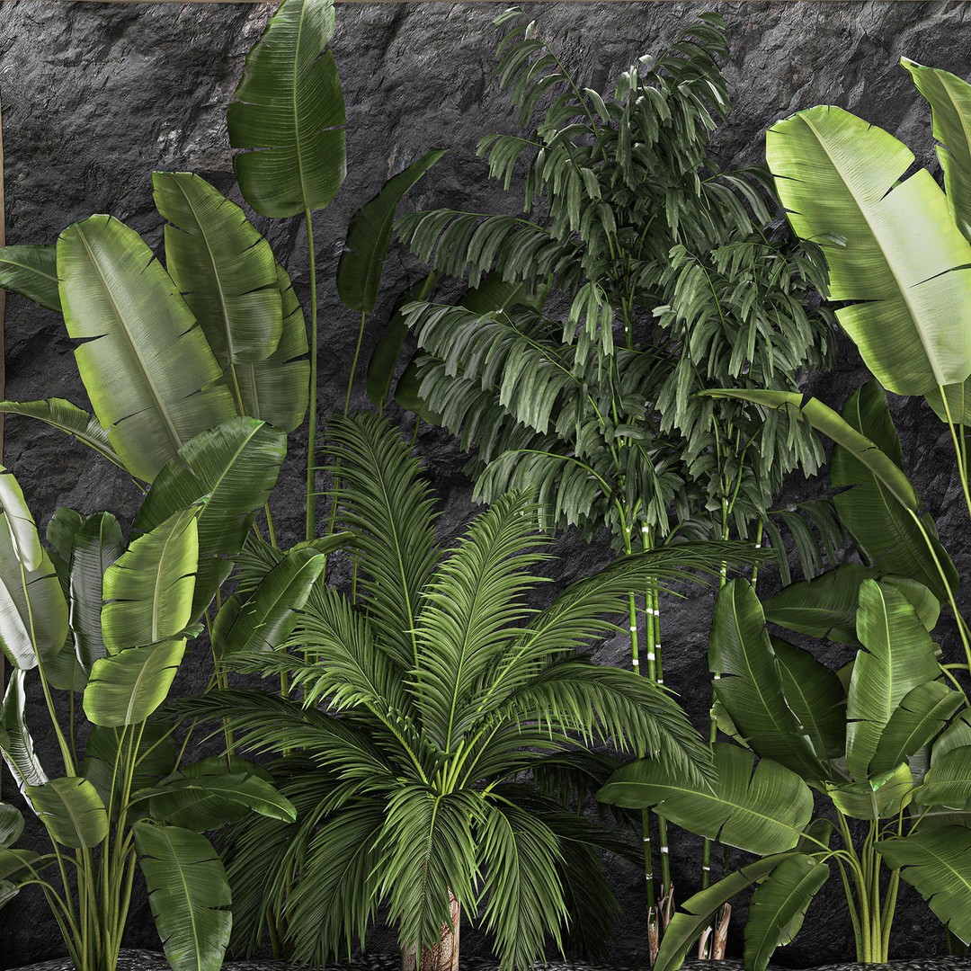 Tropical Home Garden 3D Model – Stylish Landscape with Rock Wall, FBX - View 12