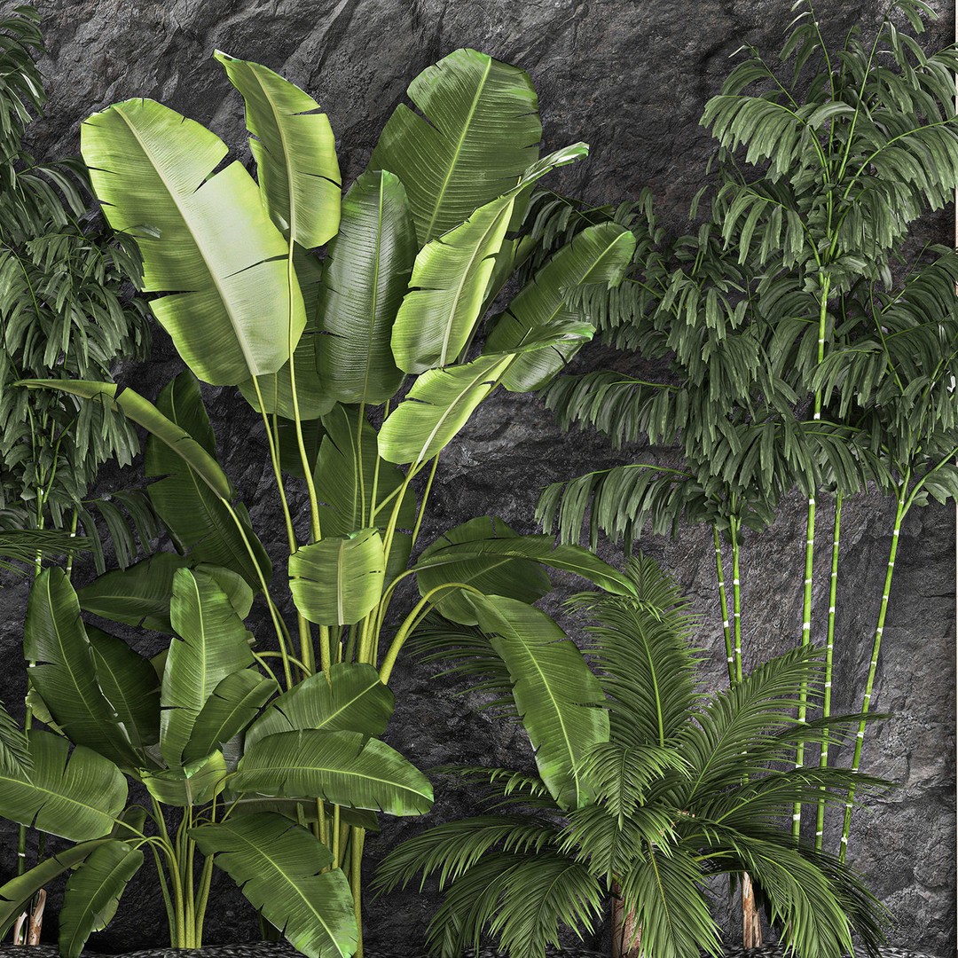 Tropical Home Garden 3D Model – Stylish Landscape with Rock Wall, FBX - View 13