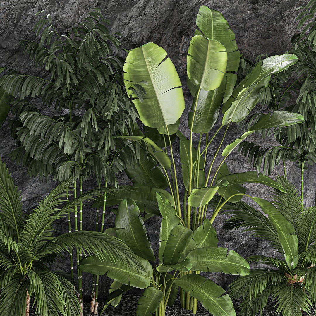Tropical Home Garden 3D Model – Stylish Landscape with Rock Wall, FBX - View 15
