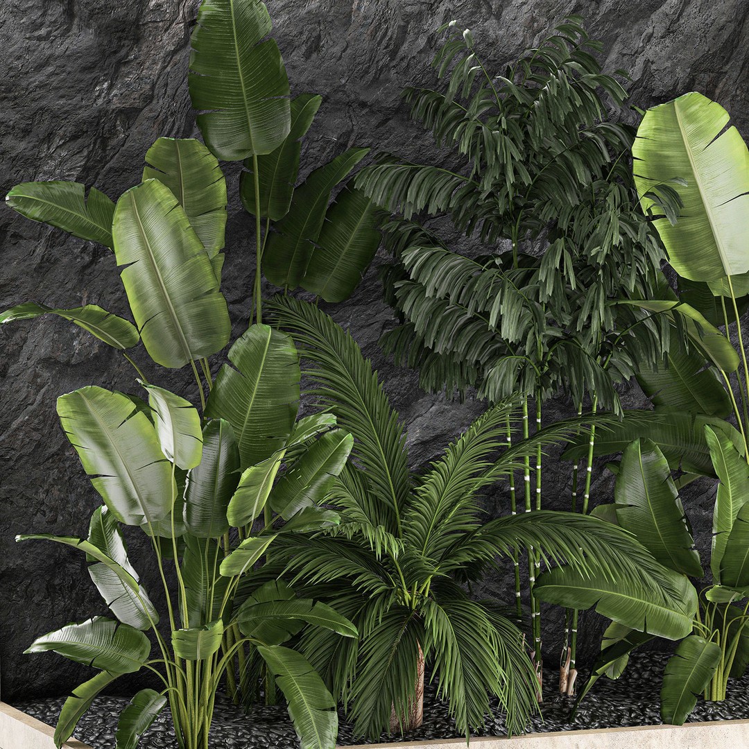 Tropical Home Garden 3D Model – Stylish Landscape with Rock Wall, FBX - View 16