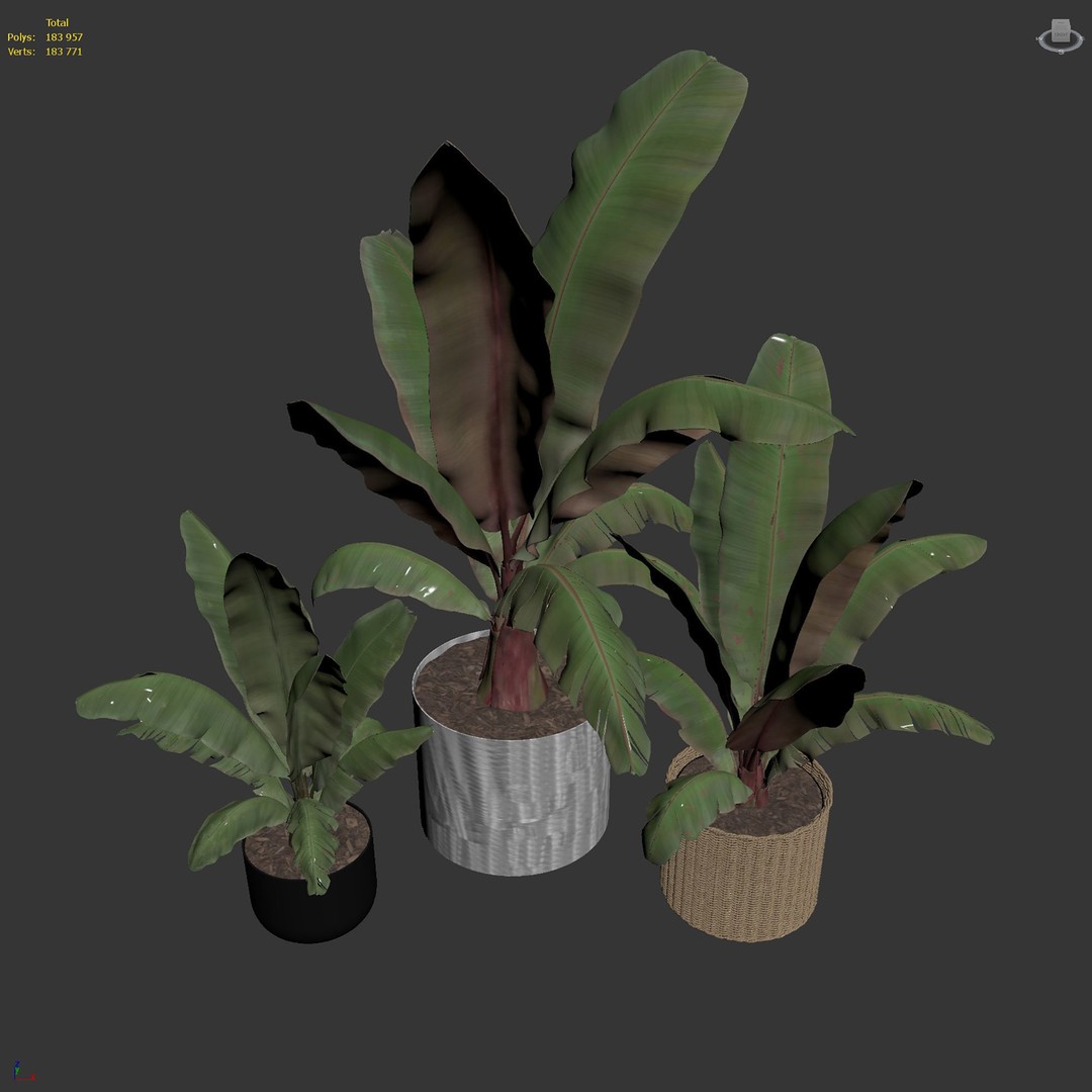 Maurelii Red Banana 3D Model – High Poly PBR Plant Asset, FBX, OBJ
