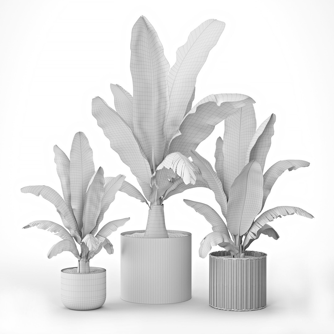 Maurelii Red Banana 3D Model – High Poly PBR Plant Asset, FBX, OBJ - View 7