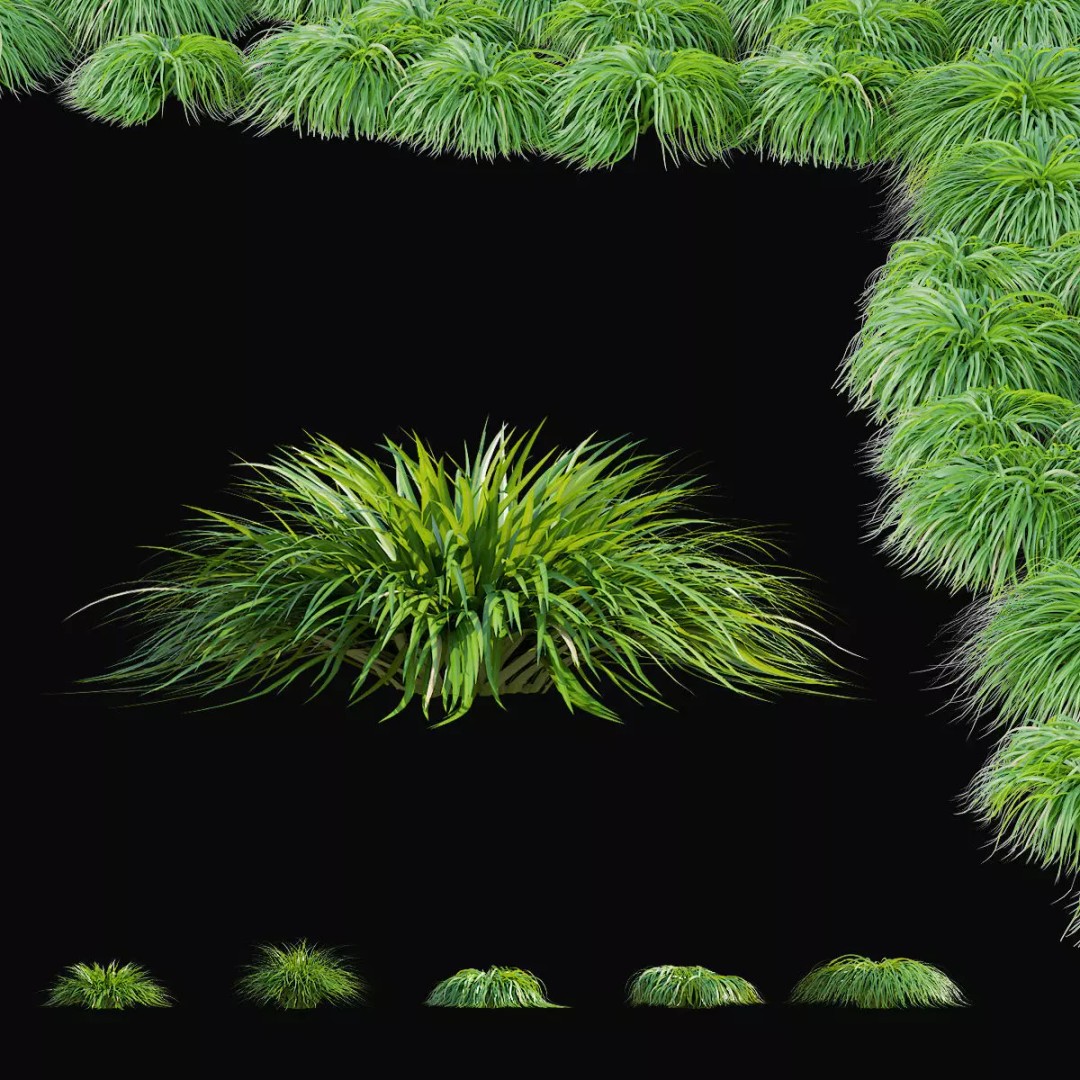 Carex caryophyllea 3D Model – High Poly Grass Asset, FBX, OBJ - View 2