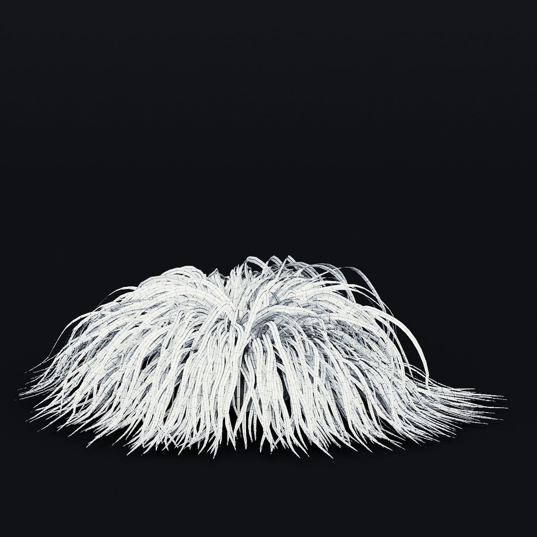 Carex caryophyllea 3D Model – High Poly Grass Asset, FBX, OBJ - View 6