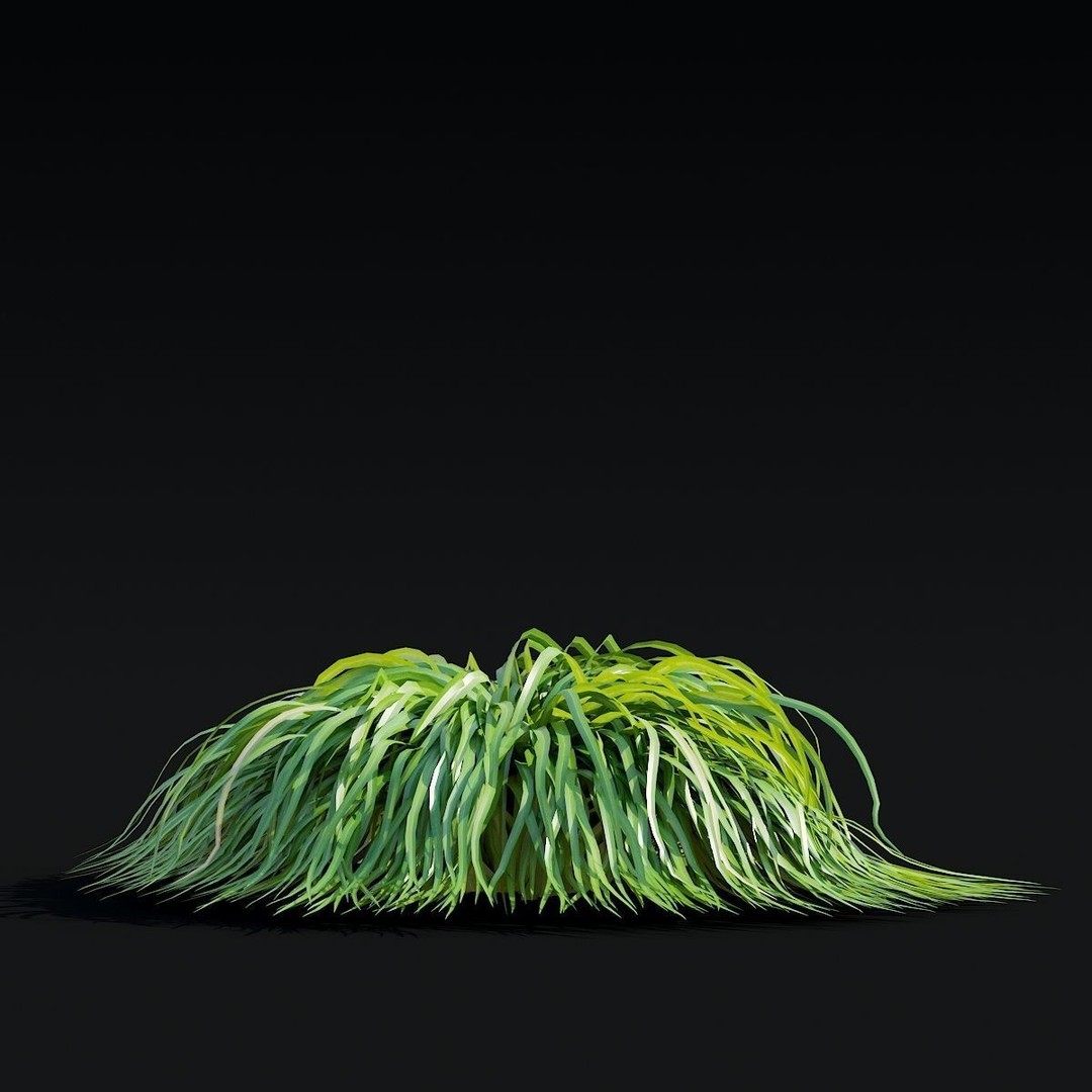 Carex caryophyllea 3D Model – High Poly Grass Asset, FBX, OBJ - View 7
