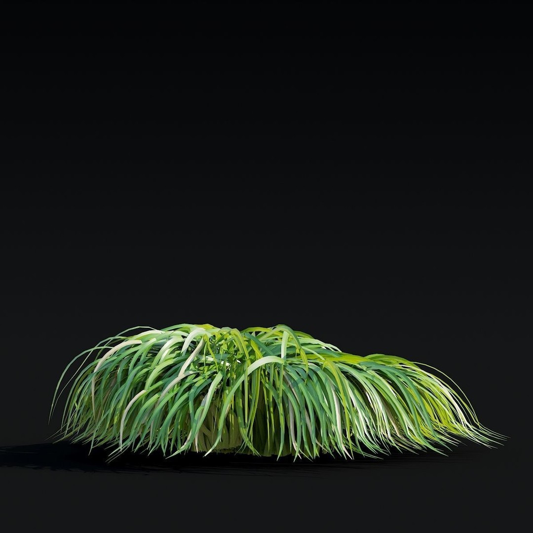 Carex caryophyllea 3D Model – High Poly Grass Asset, FBX, OBJ - View 8