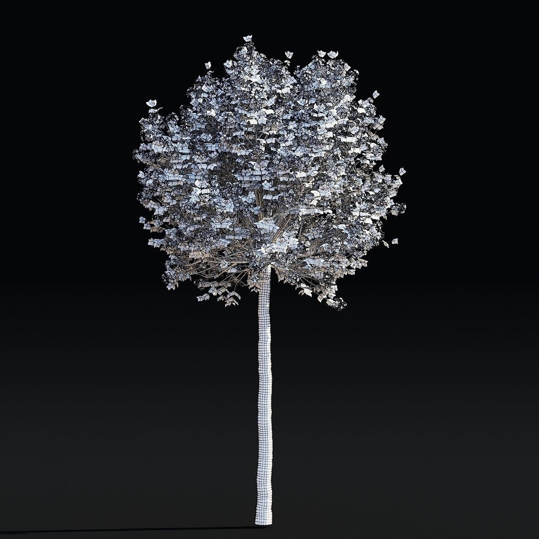 Syringa Meyeri Palibin Trees 3D Model – High Poly Game Asset, FBX, OBJ