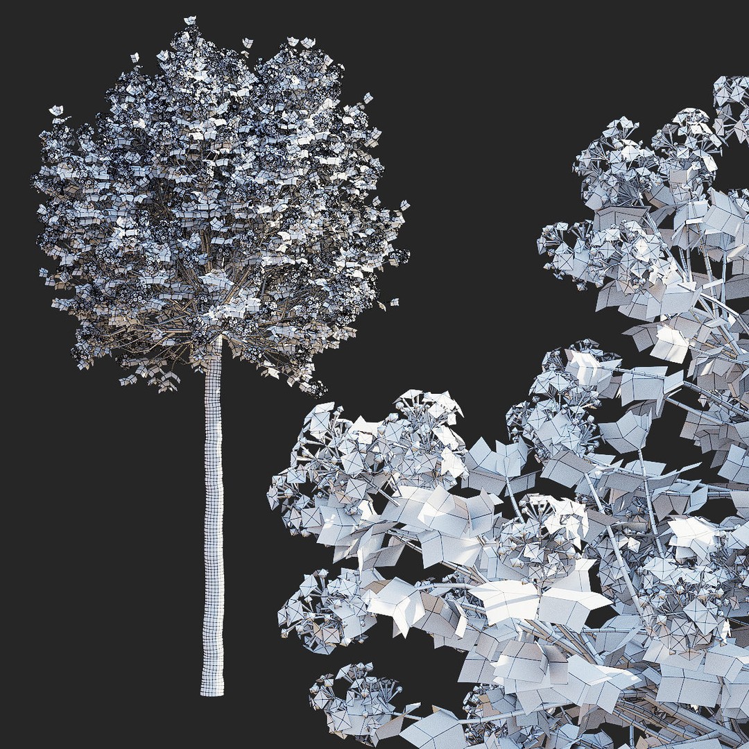 Syringa Meyeri Palibin Trees 3D Model – High Poly Game Asset, FBX, OBJ - View 3