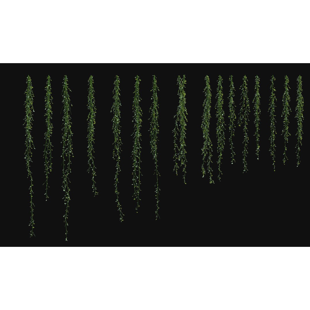 Hanging Ivy Plants 3D Model – PBR Textures, FBX Format - View 10