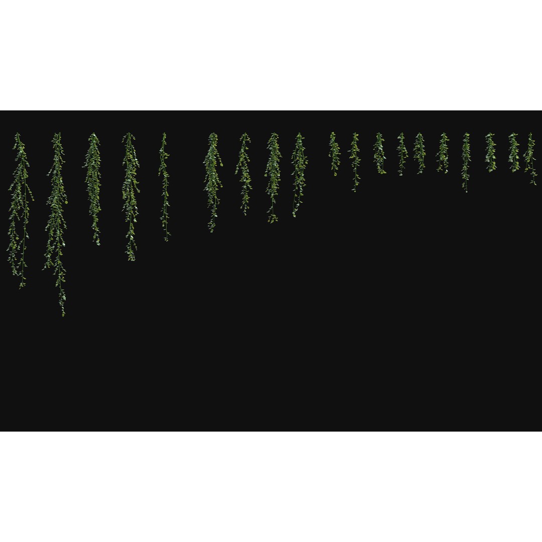 Hanging Ivy Plants 3D Model – PBR Textures, FBX Format - View 11