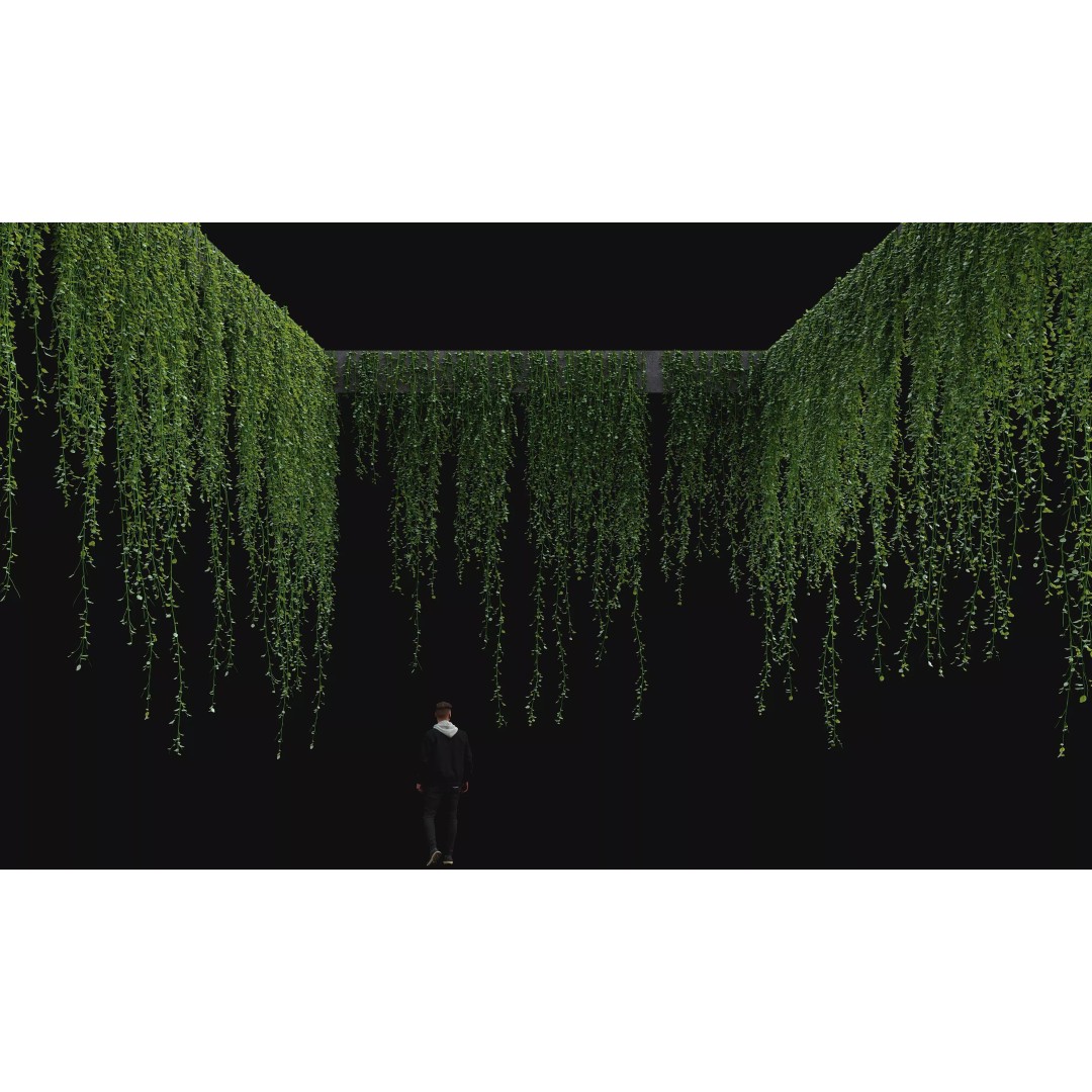 Hanging Ivy Plants 3D Model – PBR Textures, FBX Format - View 2
