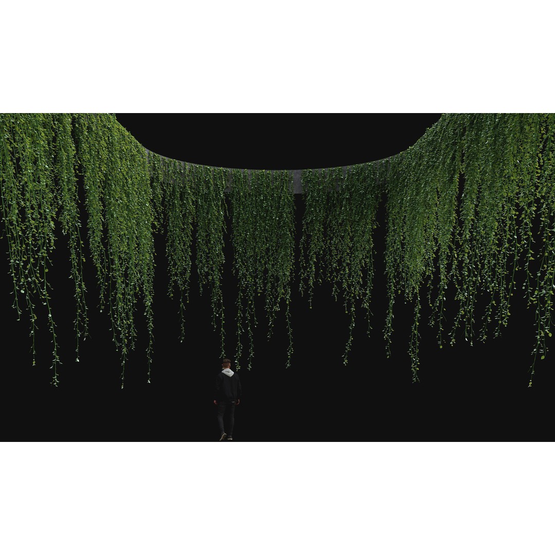 Hanging Ivy Plants 3D Model – PBR Textures, FBX Format - View 3