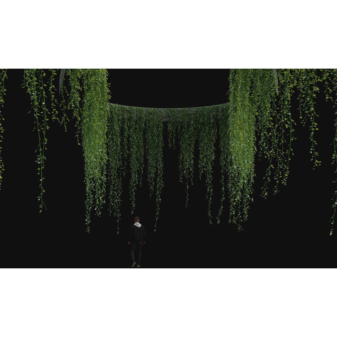 Hanging Ivy Plants 3D Model – PBR Textures, FBX Format - View 4