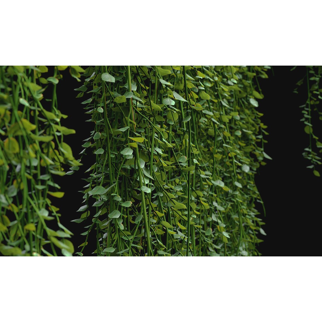 Hanging Ivy Plants 3D Model – PBR Textures, FBX Format - View 5