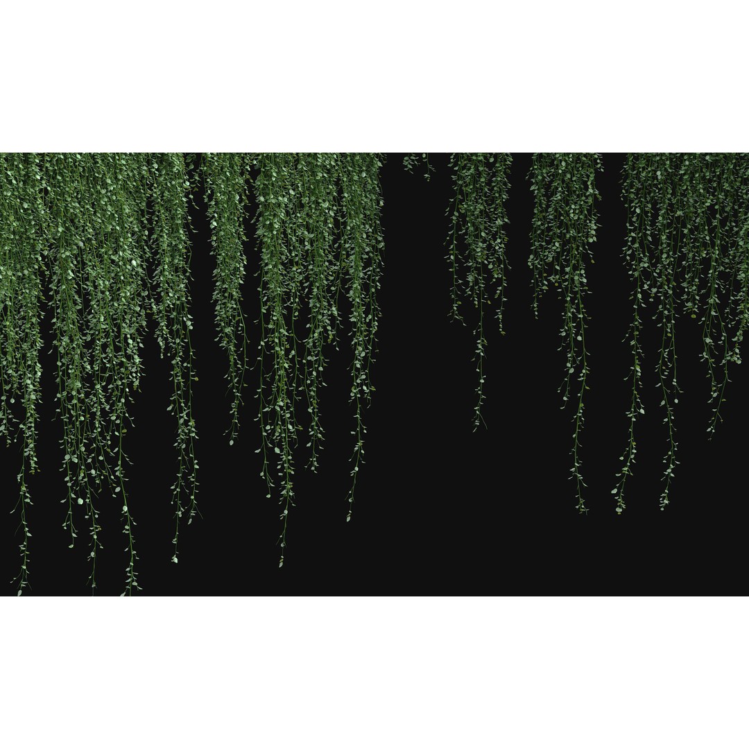 Hanging Ivy Plants 3D Model – PBR Textures, FBX Format - View 6