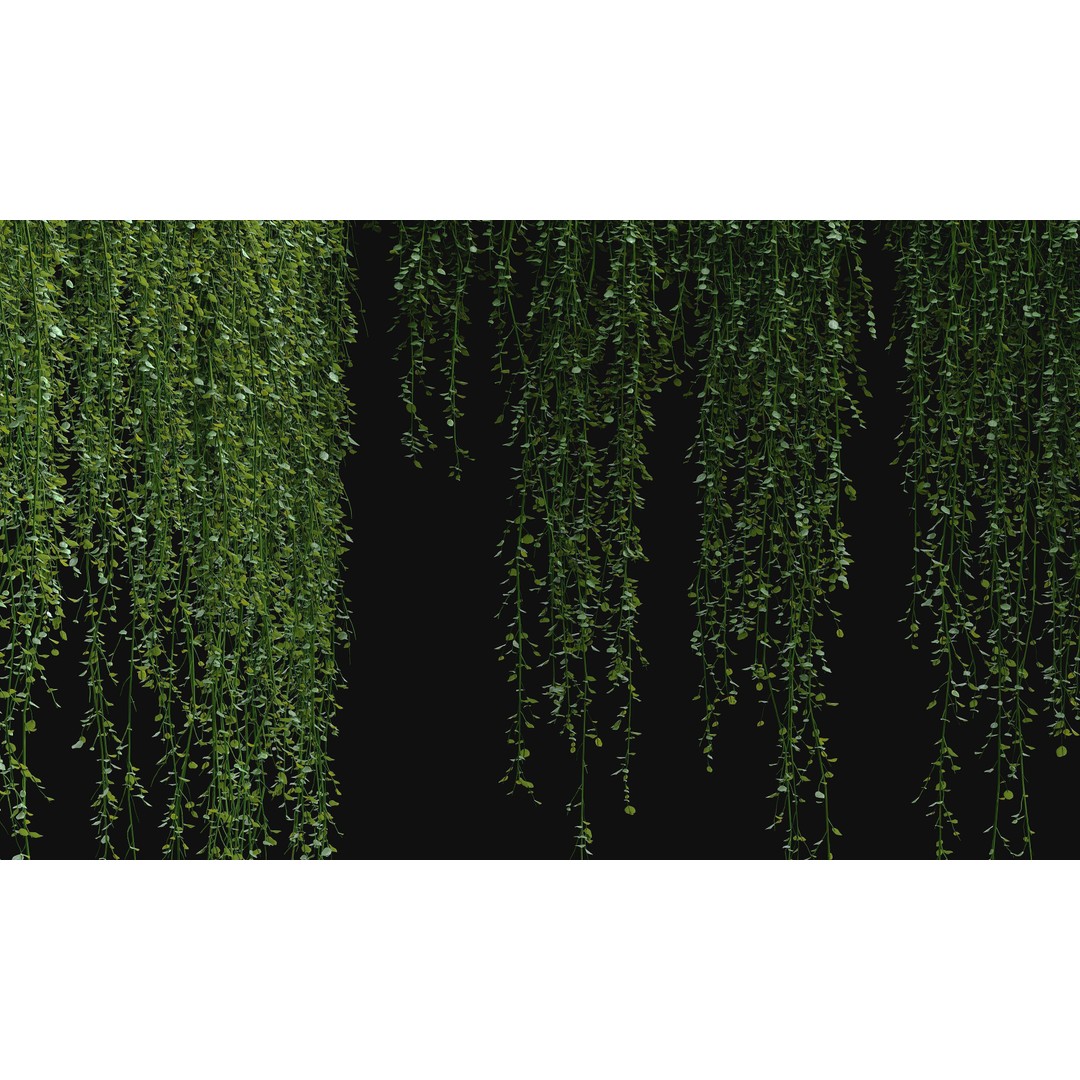 Hanging Ivy Plants 3D Model – PBR Textures, FBX Format - View 7