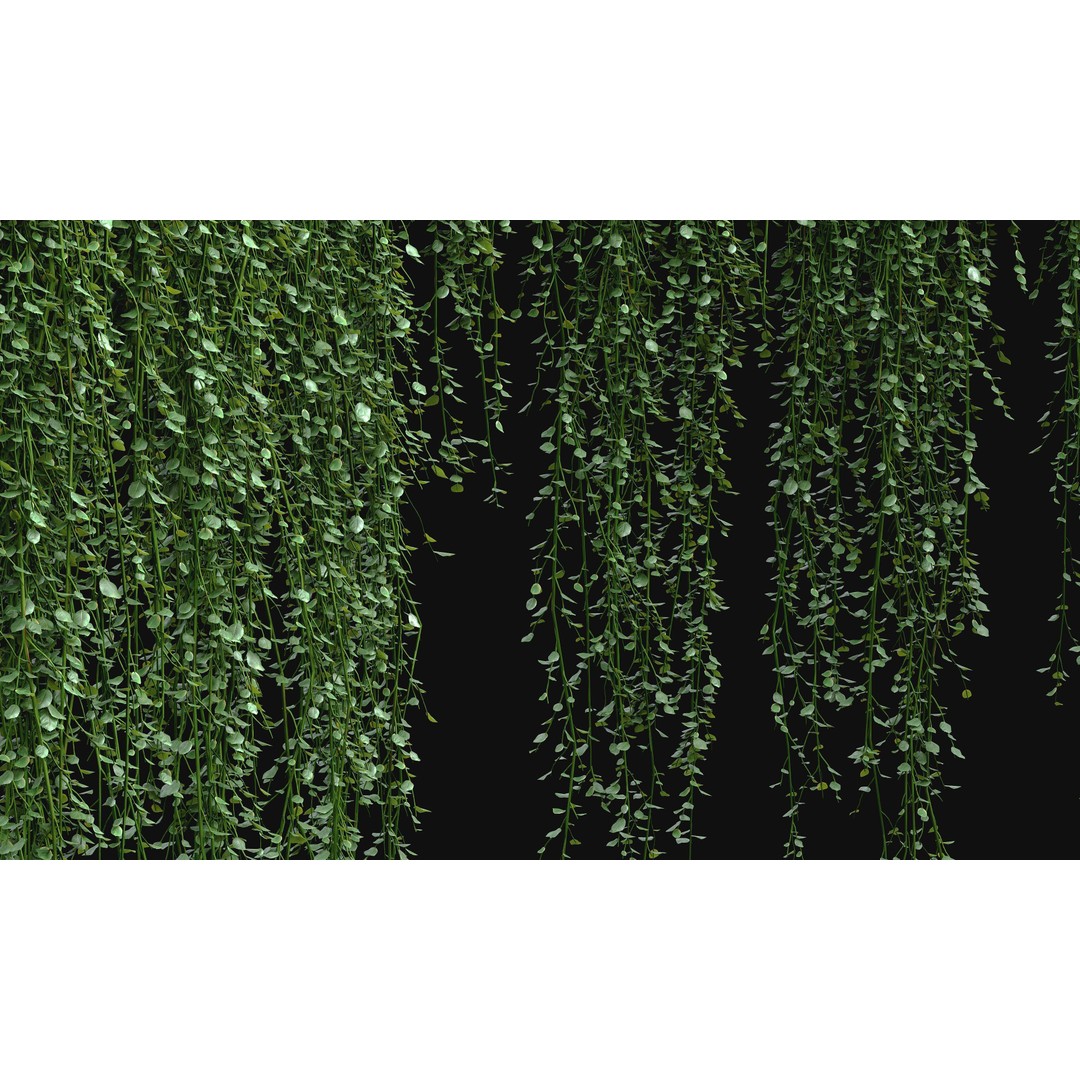 Hanging Ivy Plants 3D Model – PBR Textures, FBX Format - View 8