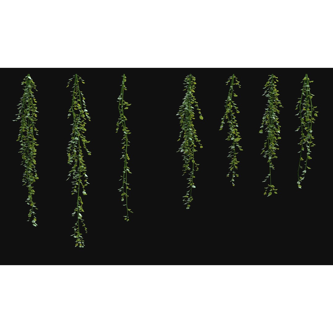 Hanging Ivy Plants 3D Model – PBR Textures, FBX Format - View 9