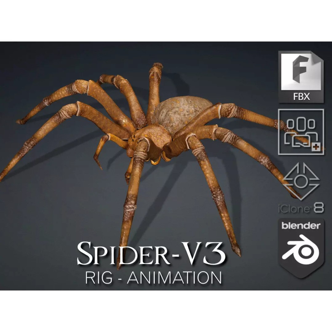 Spider 3D Model – Rigged Animated Character for Unity and Blender - View 2