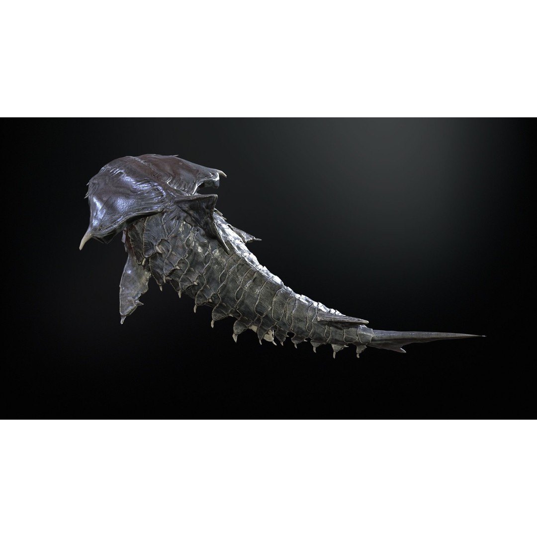 AlienShark 7 3D Model – Low Poly Game Asset, Rigged, FBX - View 13