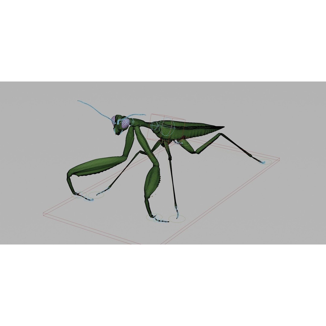 Praying Mantis 3D Model – Realistic Rigged Insect Asset, FBX - View 6