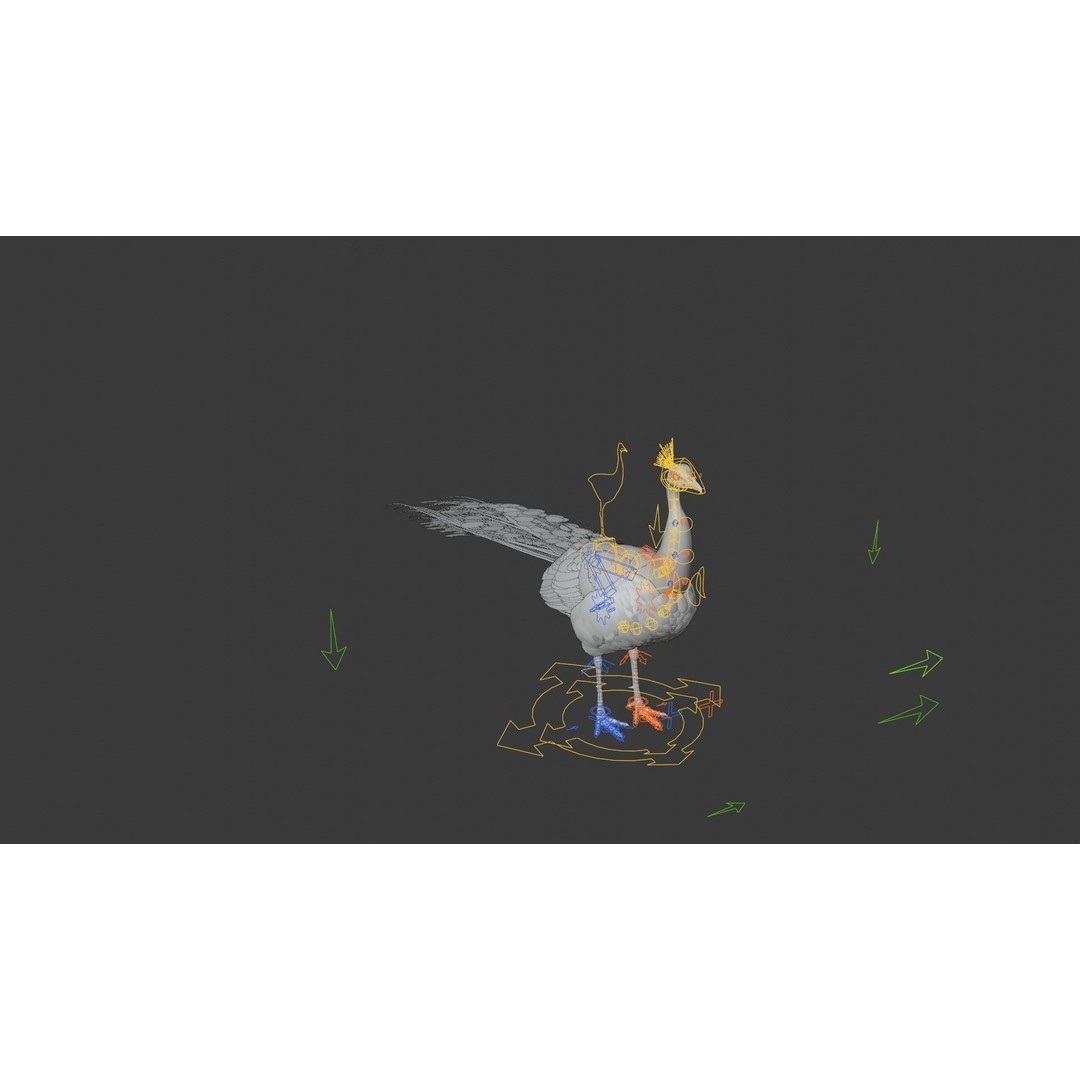 Indian Peafowl 3D Model – Animated Rigged Asset with PBR Textures - View 19