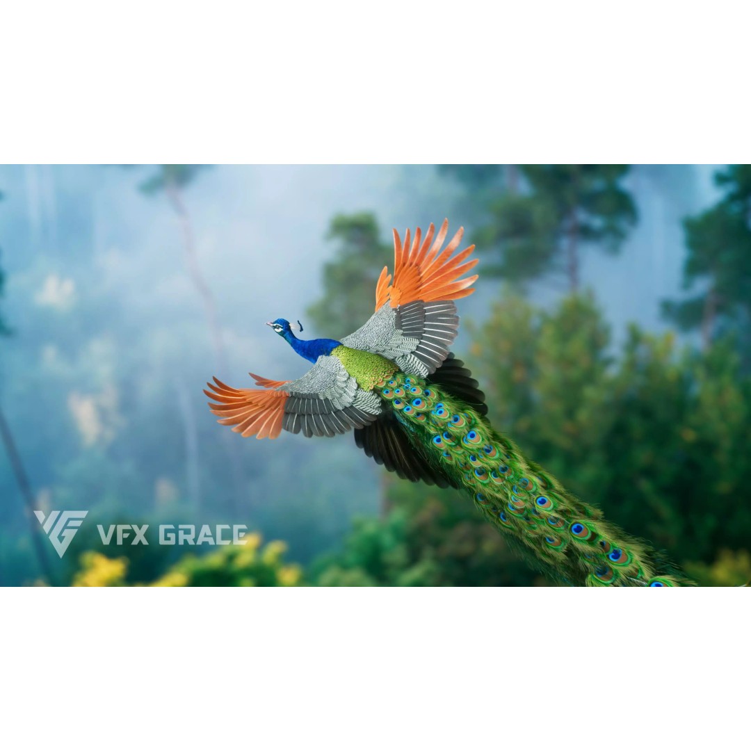 Indian Peafowl 3D Model – Animated Rigged Asset with PBR Textures - View 2