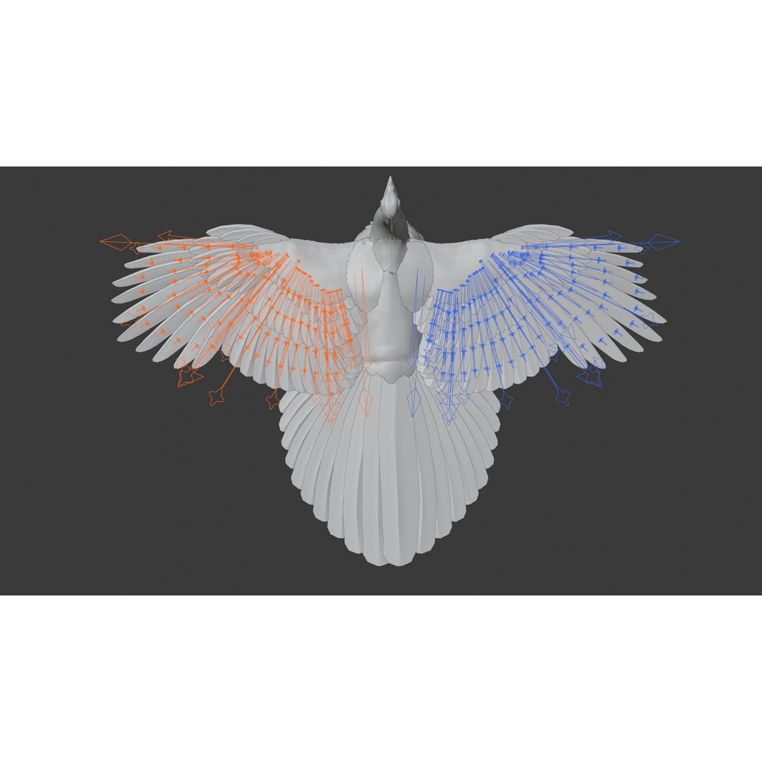 Indian Peafowl 3D Model – Animated Rigged Asset with PBR Textures - View 20