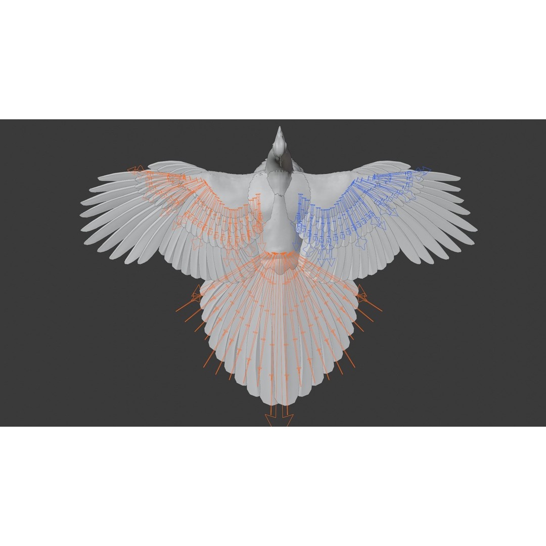 Indian Peafowl 3D Model – Animated Rigged Asset with PBR Textures - View 21