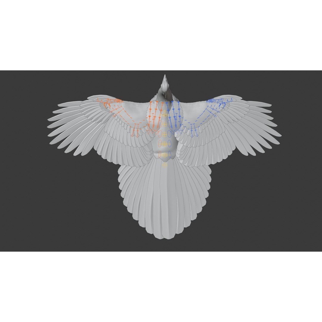 Indian Peafowl 3D Model – Animated Rigged Asset with PBR Textures - View 22